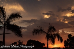 Intricate-Details-Photography-Wall-Art-10