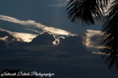 Intricate-Details-Photography-Wall-Art-11