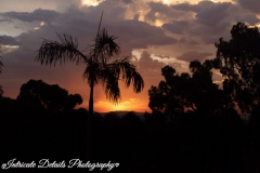 Intricate-Details-Photography-Wall-Art-9